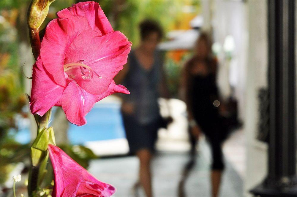 Hotel Beach Energy 5Th Av Playa del Carmen Ngoại thất bức ảnh