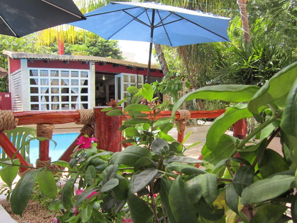 Hotel Beach Energy 5Th Av Playa del Carmen Ngoại thất bức ảnh